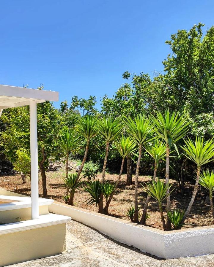 Vila Casa Vacanze In Valle D'Itria Ceglie Messapica Exteriér fotografie